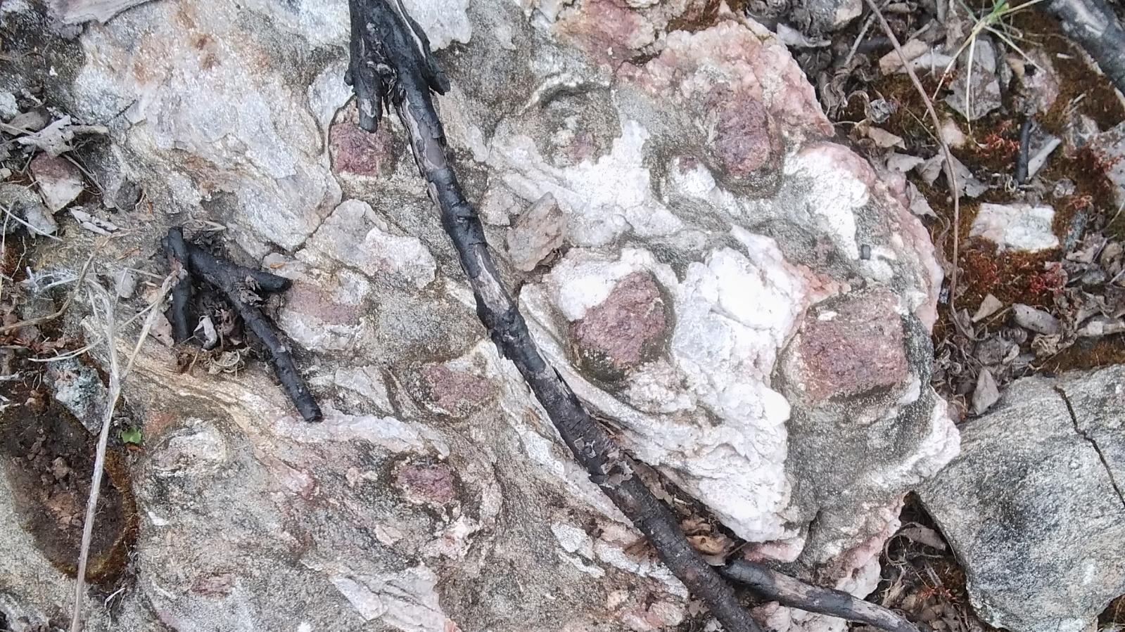 Schotts Lake Garnet Outcrop