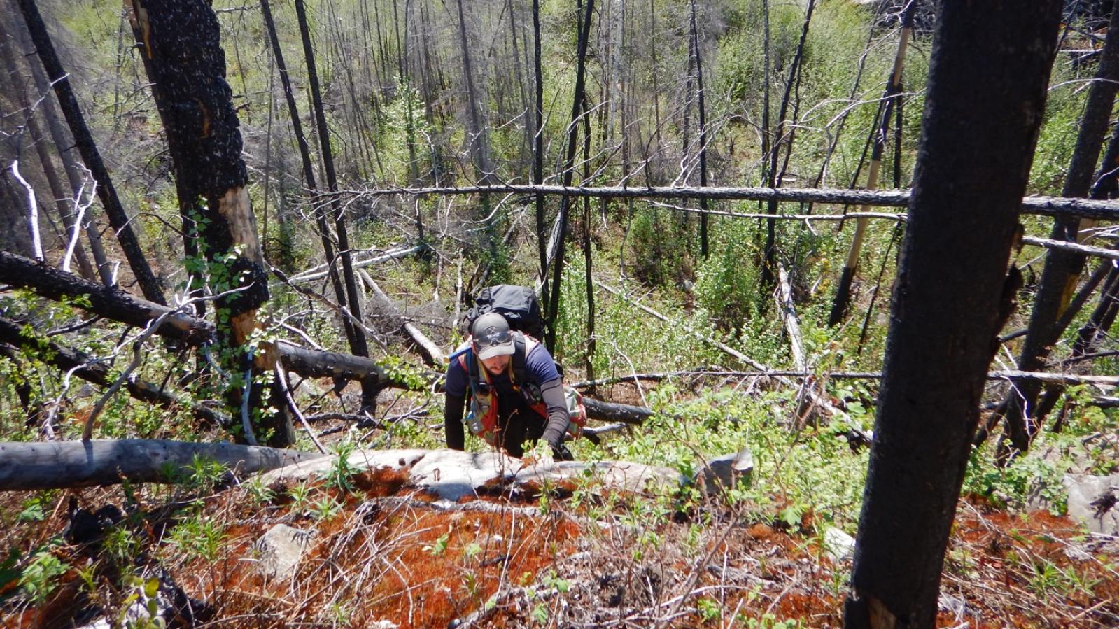 Prospecting in Northern Saskatchewan