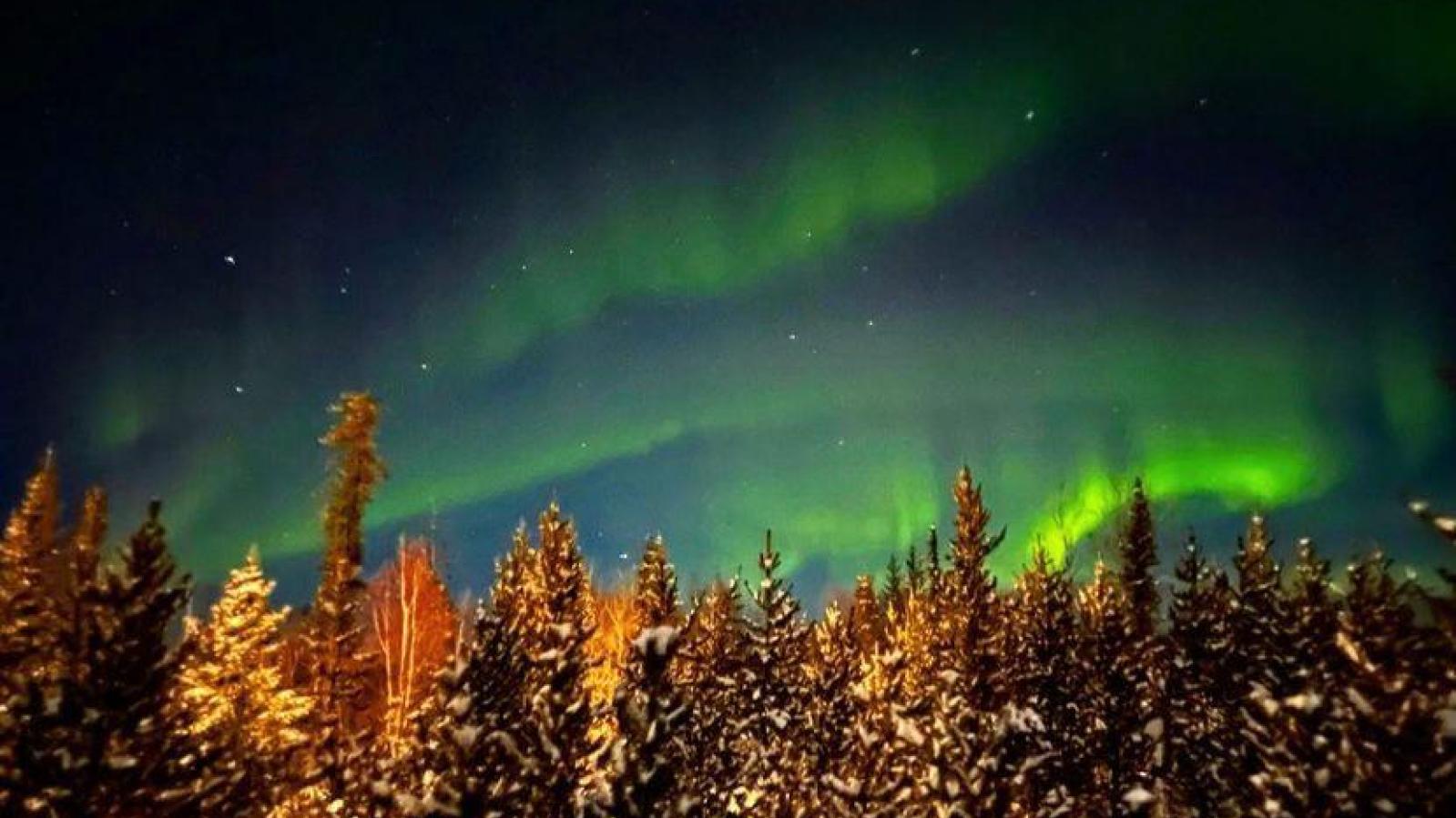 A snowy forest with northern lights in the background