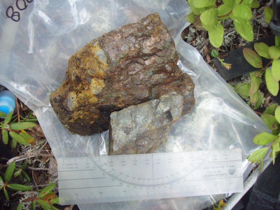 Dragon Lake Gold Project Main Zone Rock Sample - Skarn Au-Cu-Fe