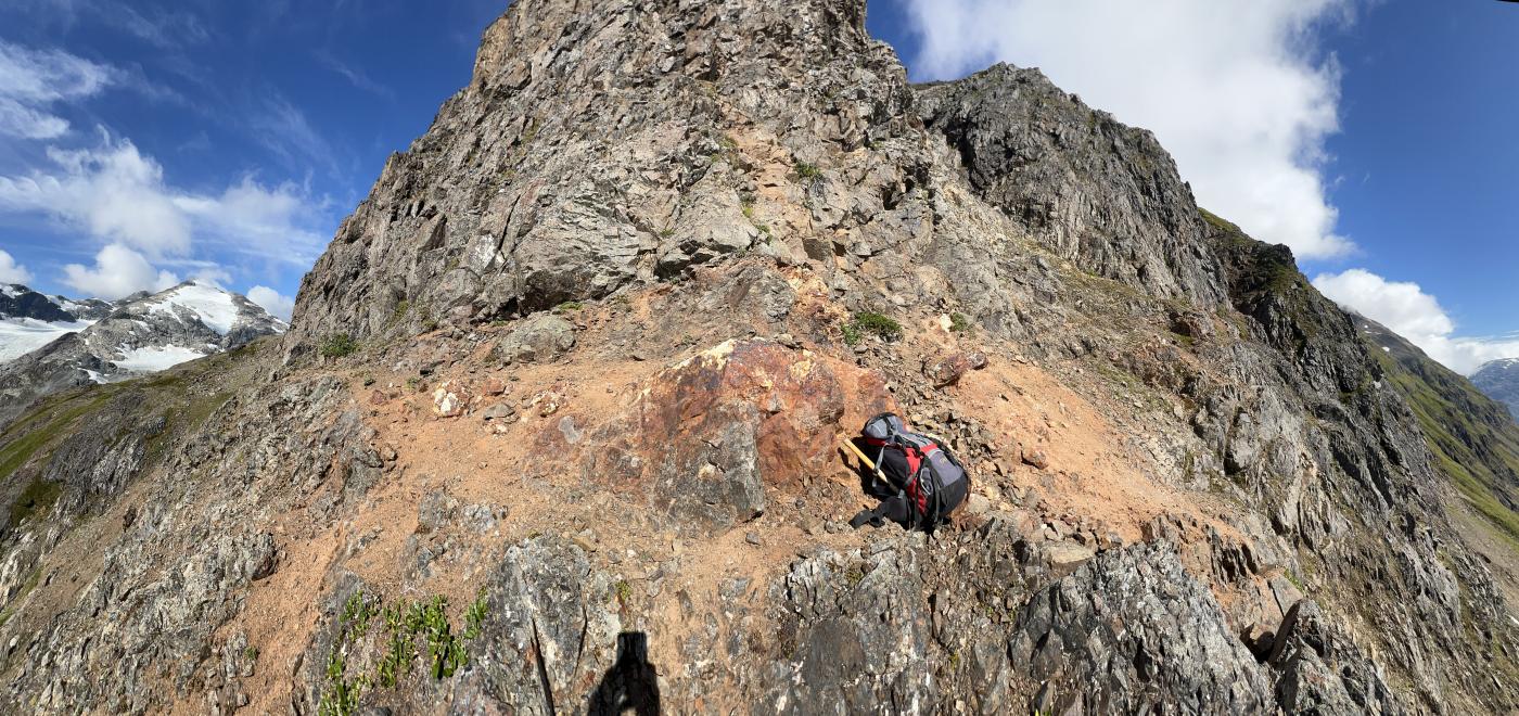 Mineralized outcrop