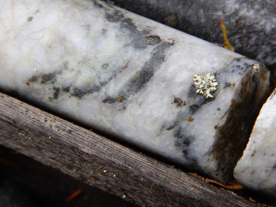 Mineralized Drill Core at Pine Channel - Northern Saskatchewan Mineralized Drill Core at Pine Channel - Northern Saskatchewan